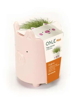 Odle gris potte med karsefrø