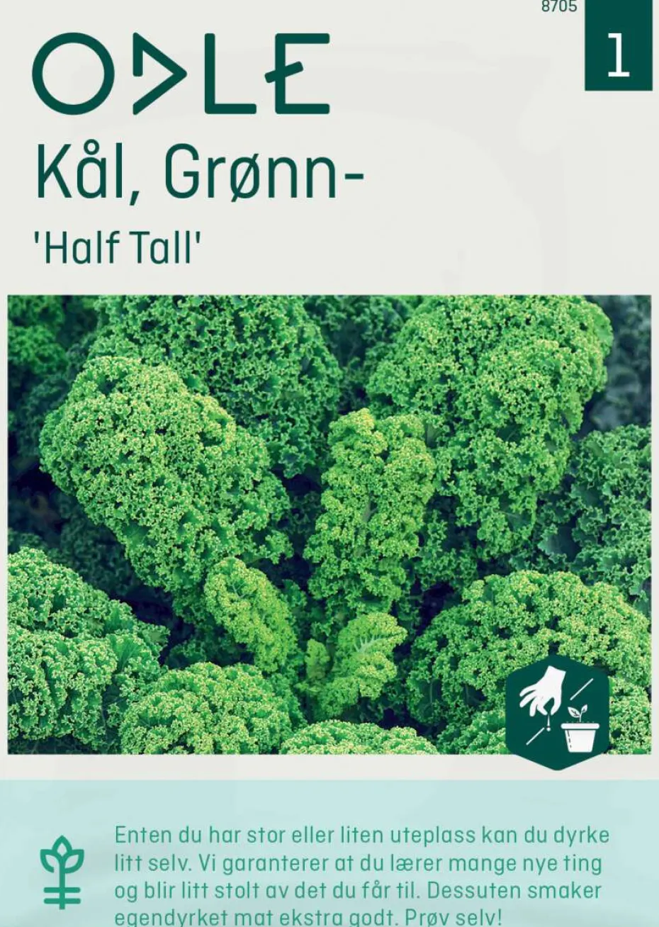 Odle 'Half Tall' grønnkål frø
