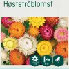 Odle høststråblomst frø