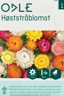 Odle høststråblomst frø