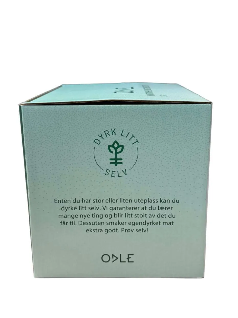 Odle minidrivhus med LED-lys 3-pk