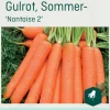 Odle 'Nantaise 2' sommer- gulrot frø