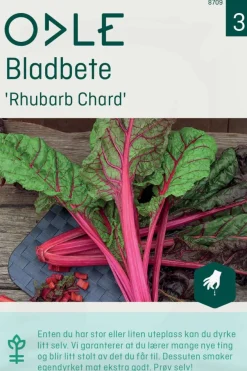 Odle 'Rhubarb Chard' bladbete frø