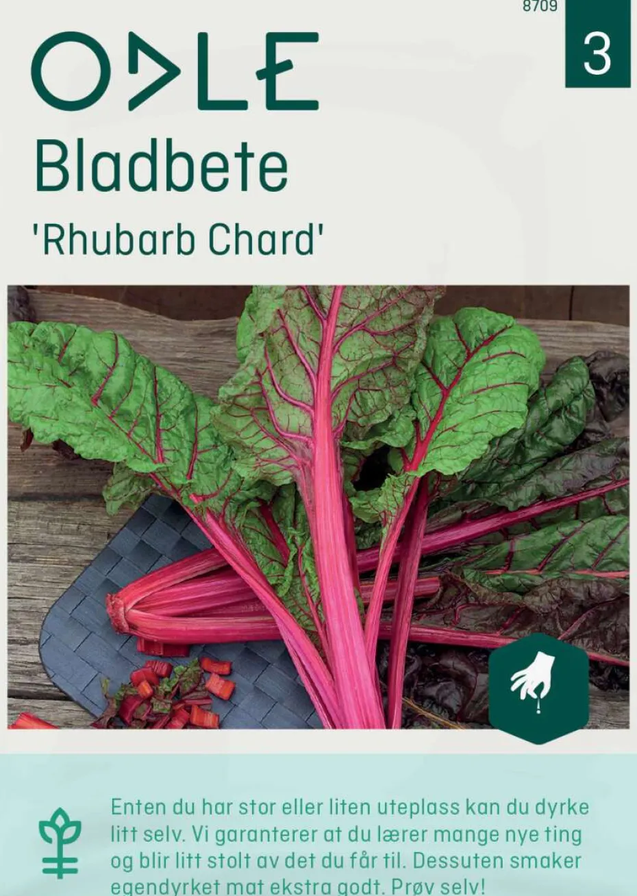 Odle 'Rhubarb Chard' bladbete frø