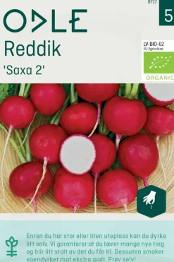 Odle 'Saxa 2' reddik frø