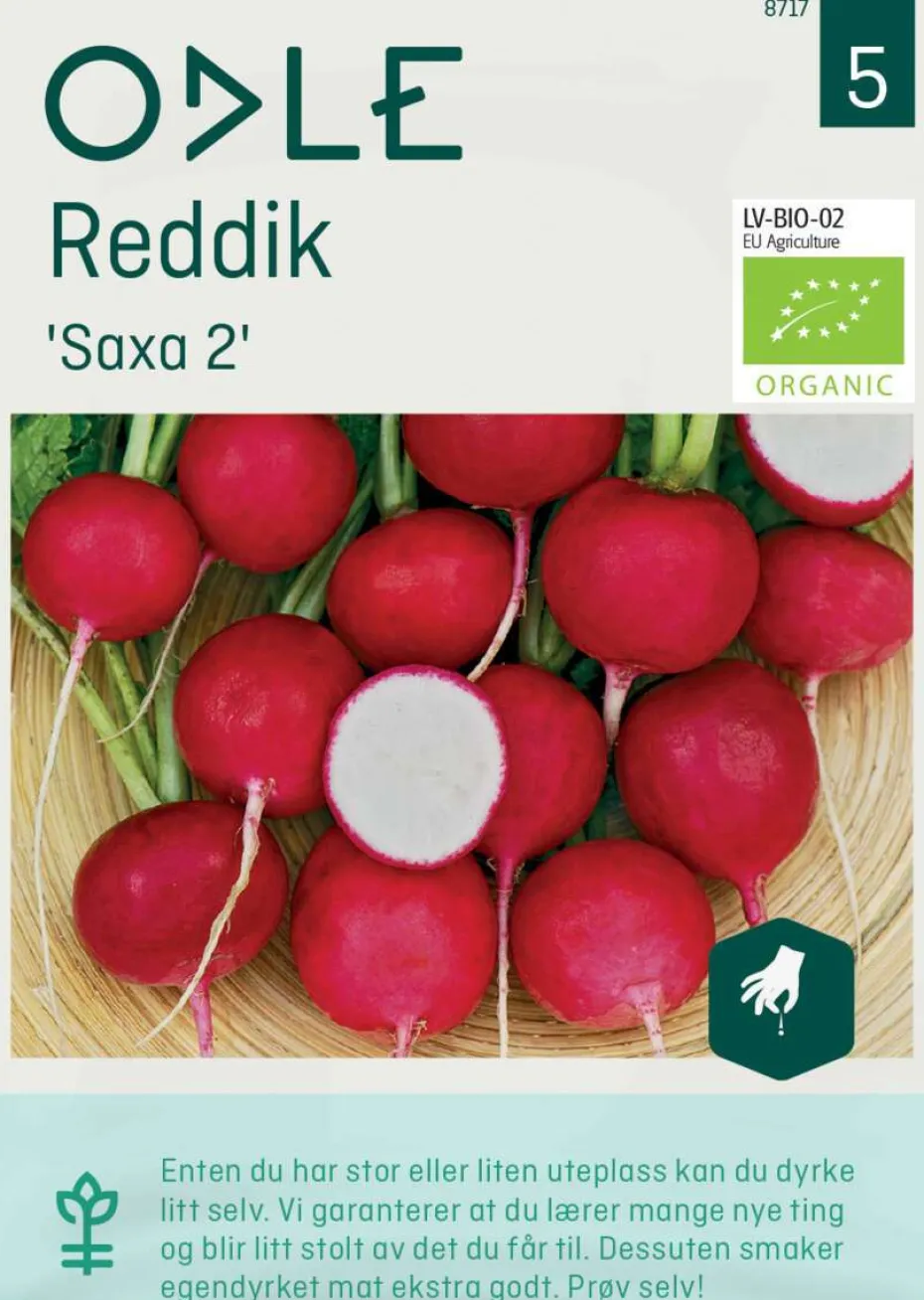Odle 'Saxa 2' reddik frø