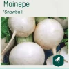 Odle 'Snowball' mainepe frø