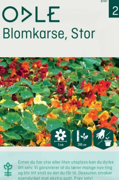 Odle stor blomkarse frø