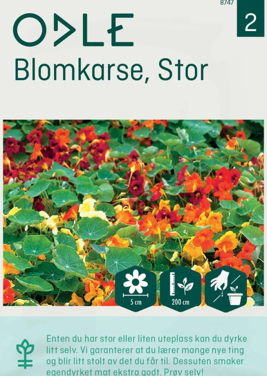 Odle stor blomkarse frø