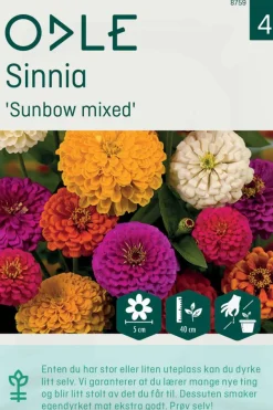 Odle 'Sunbow mixed' sinnia frø