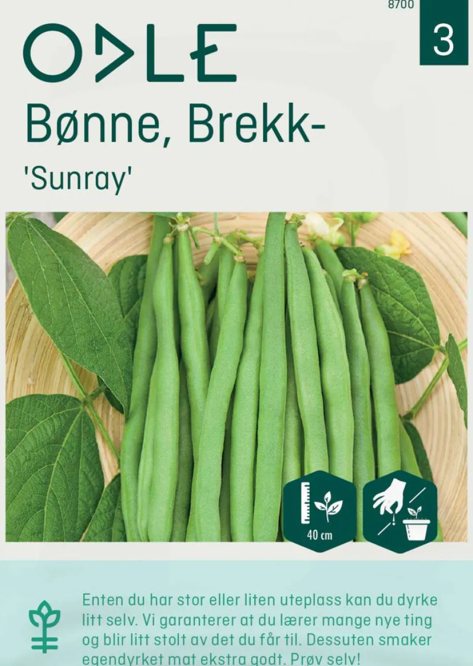 Odle 'Sunray' brekkbønne frø