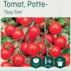 Odle 'Tiny Tim' potte cherrytomat frø
