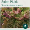 Odle 'Amerikanischer brauner' plukk salat frø