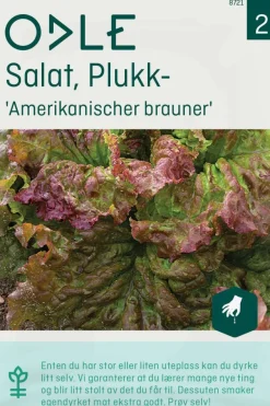 Odle 'Amerikanischer brauner' plukk salat frø