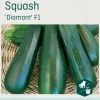 Odle 'Diamant' F1 squash frø
