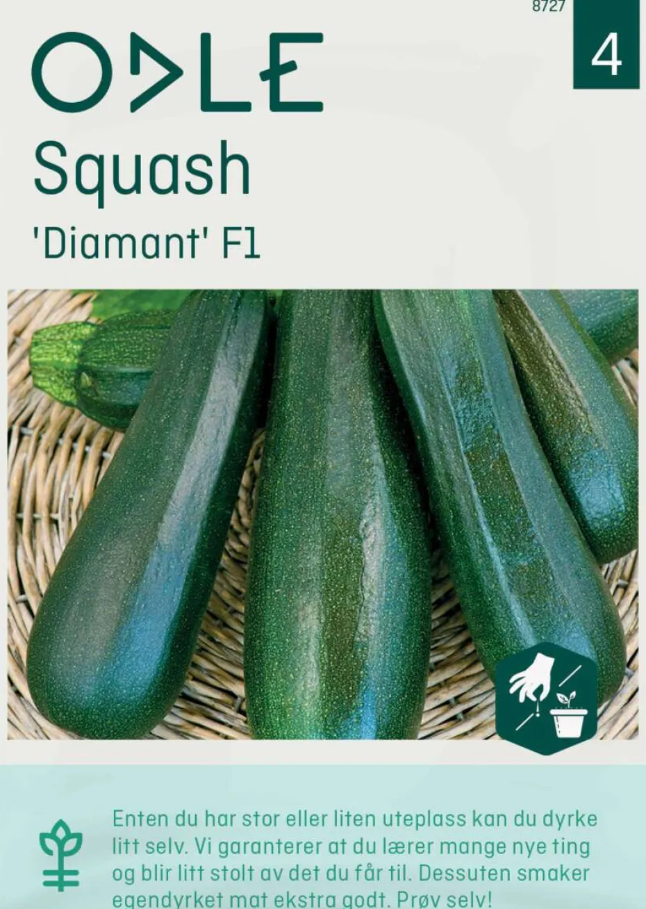 Odle 'Diamant' F1 squash frø