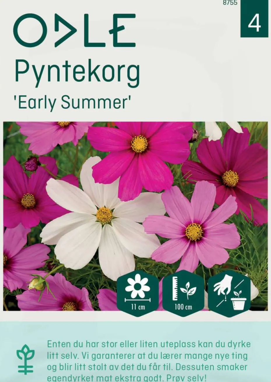 Odle 'Early Summer' pyntekorg frø