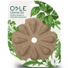 Odle frøkapsel assortert urter