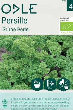 Odle 'Grüne Perle' persille frø