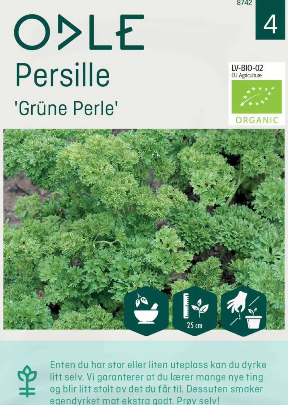 Odle 'Grüne Perle' persille frø
