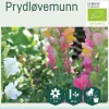 Odle høy prydløvemunn frø