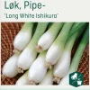Odle Løk, Pipe-, Long White Ishikura frø