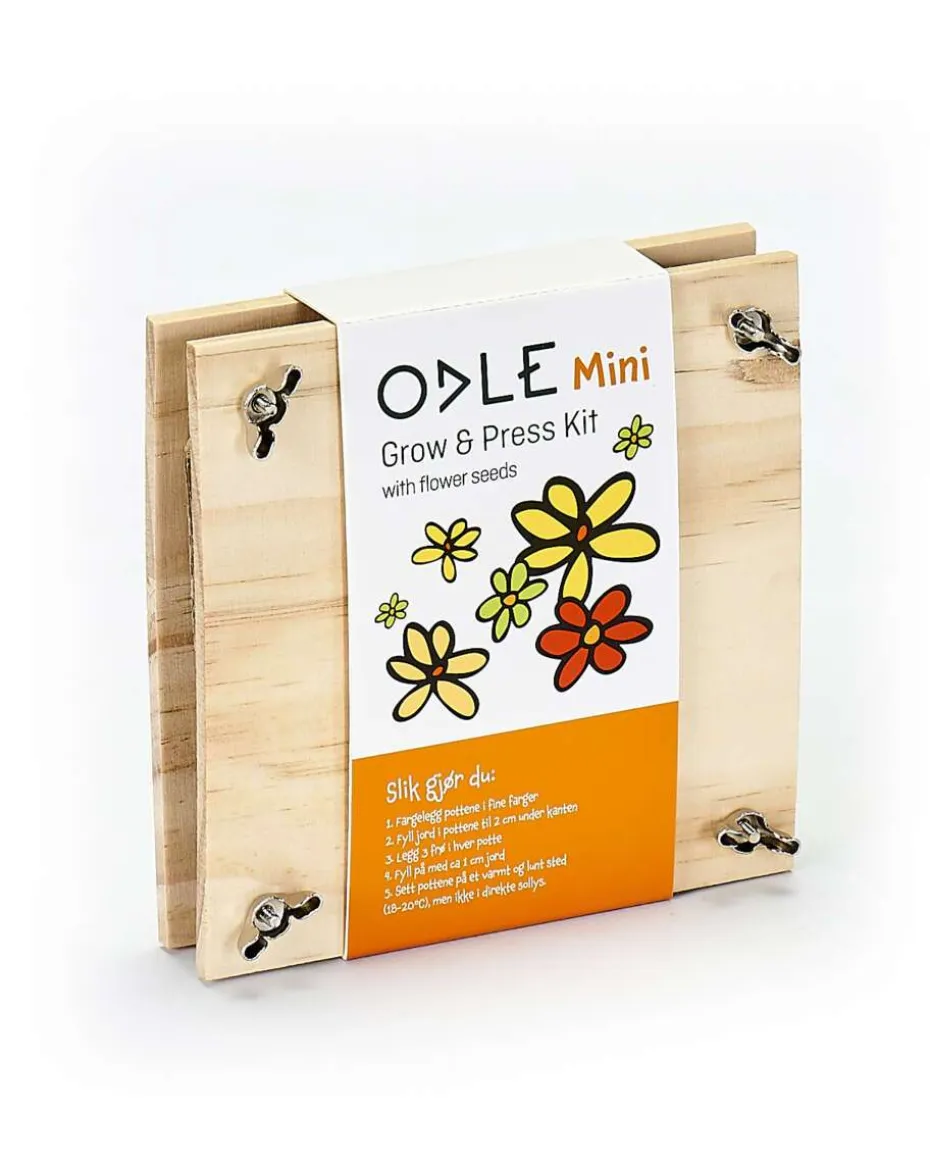 Odle mini blomsterpresse med frø