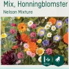Odle 'Nelson Mixture' mix honningblomster frø