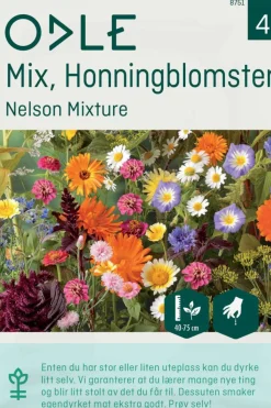 Odle 'Nelson Mixture' mix honningblomster frø