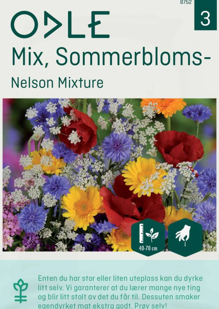Odle 'Nelson Mixture' sommerblomster frø