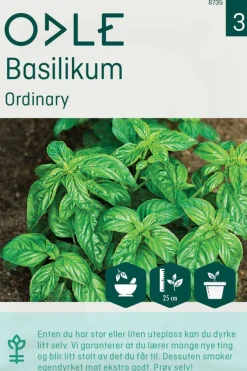Odle Ordinary basilikum frø