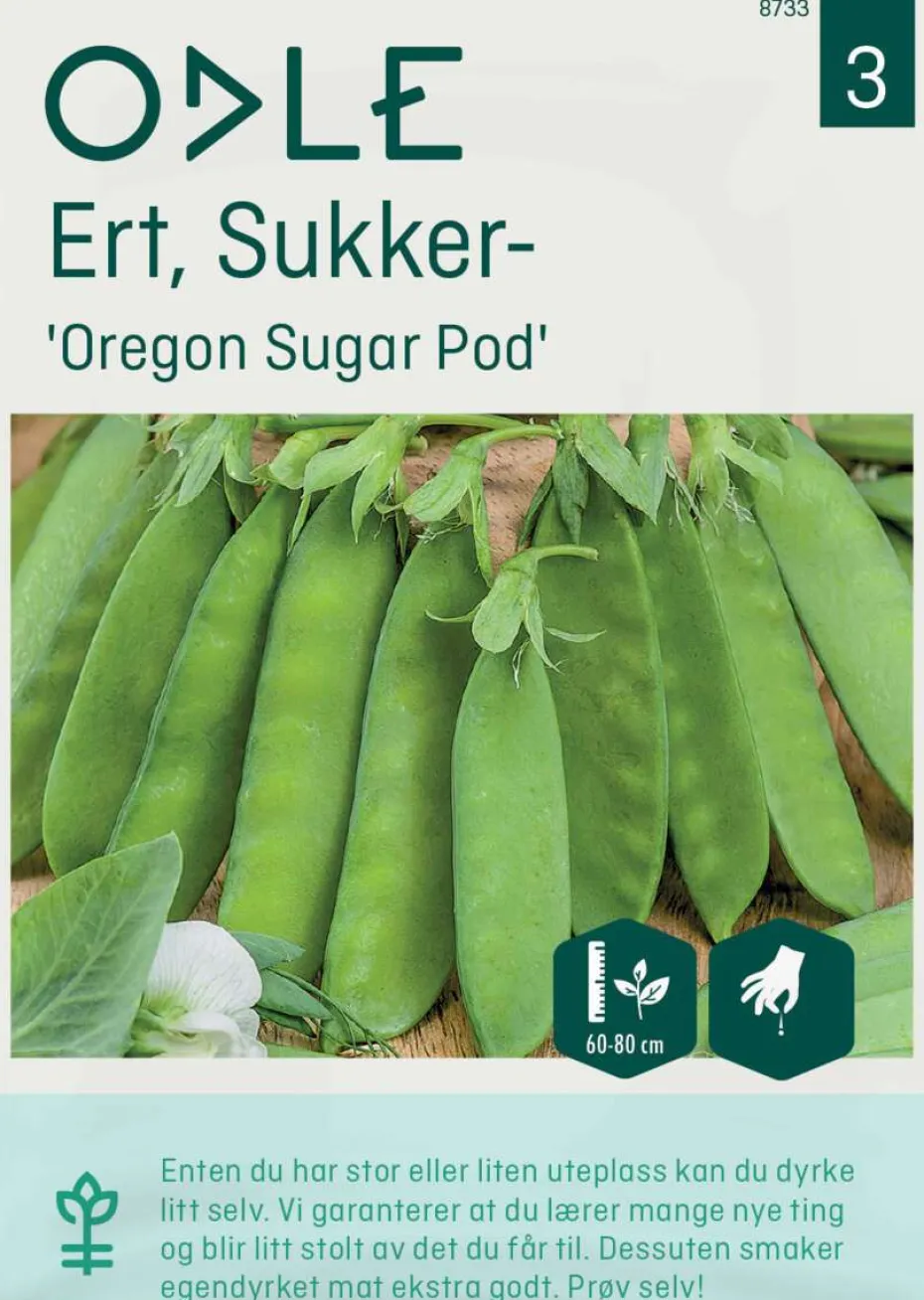 Odle 'Oregon Sugar Pod' sukkerert frø
