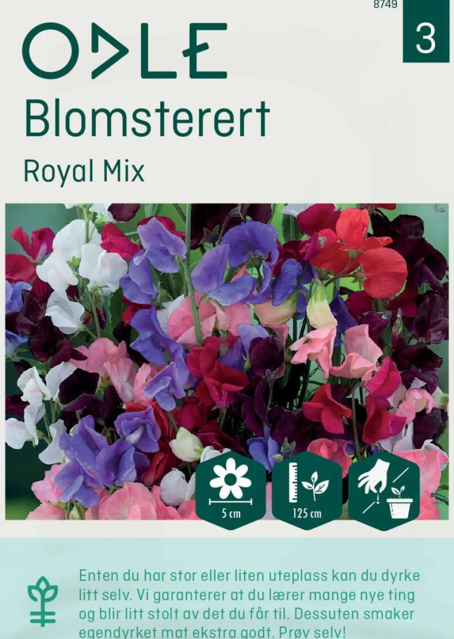 Odle 'Royal Mix' blomsterert frø