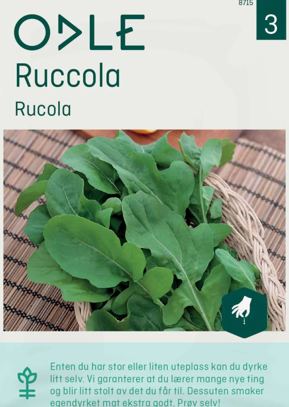 Odle ruccola frø