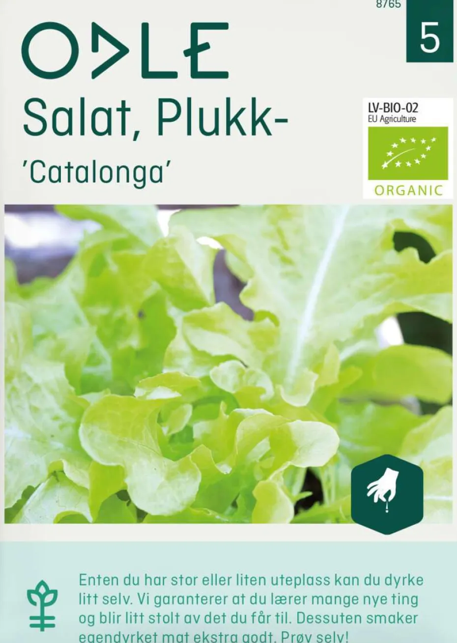 Odle salat, plukk-, Ccatalonga frø
