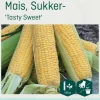 Odle 'Tasty Sweet' sukker mais frø