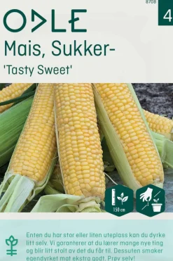 Odle 'Tasty Sweet' sukker mais frø