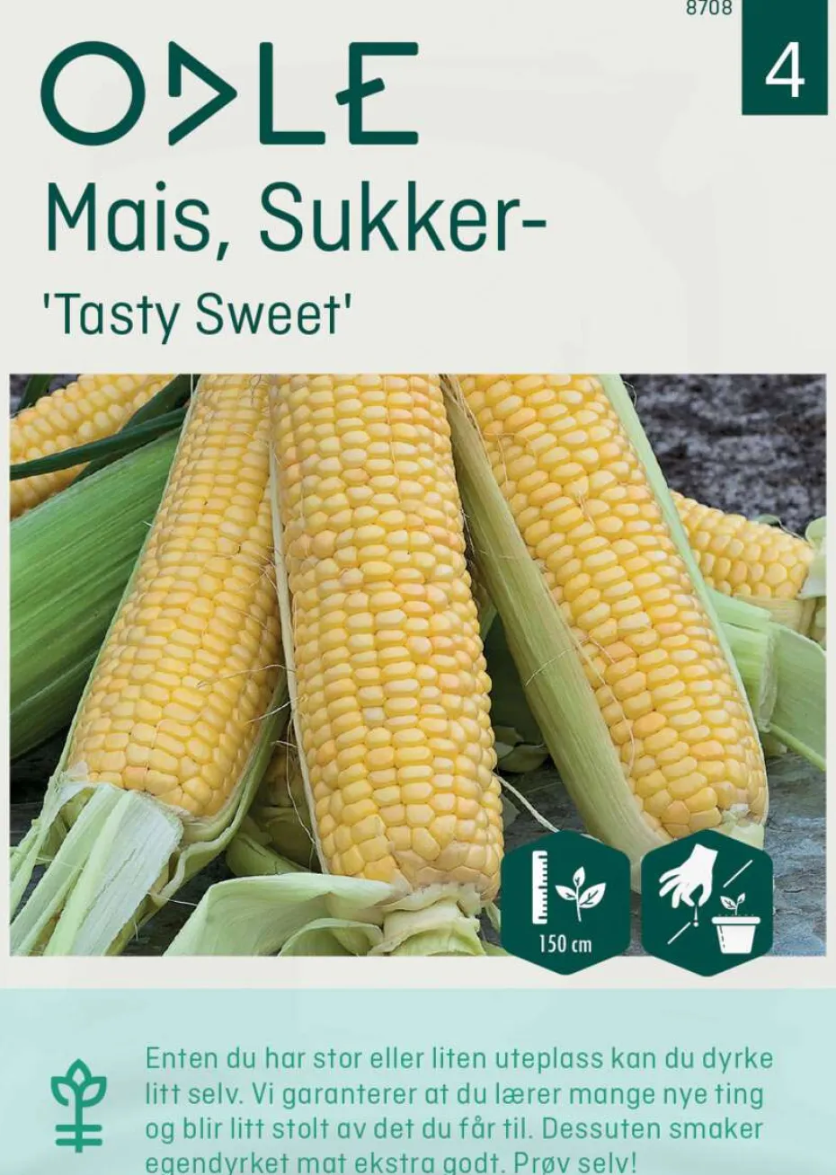 Odle 'Tasty Sweet' sukker mais frø