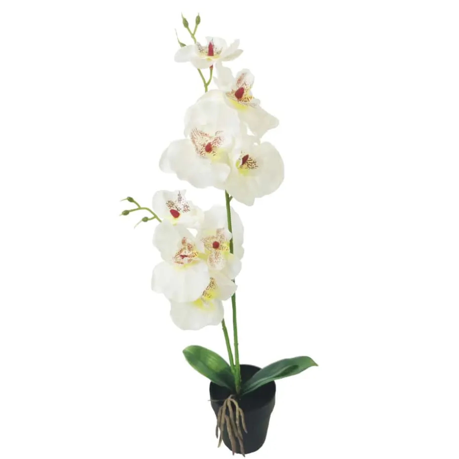 Orkidè i potte H50cm