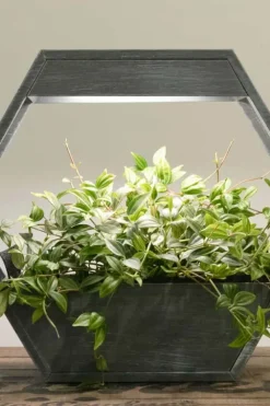 Plantekasse med LED lys