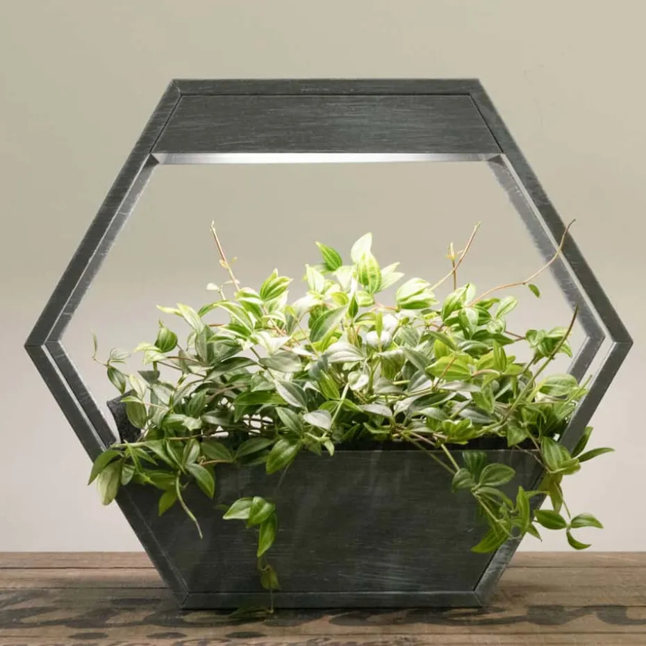 Plantekasse med LED lys