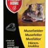 Protect Home Snap plast musefelle