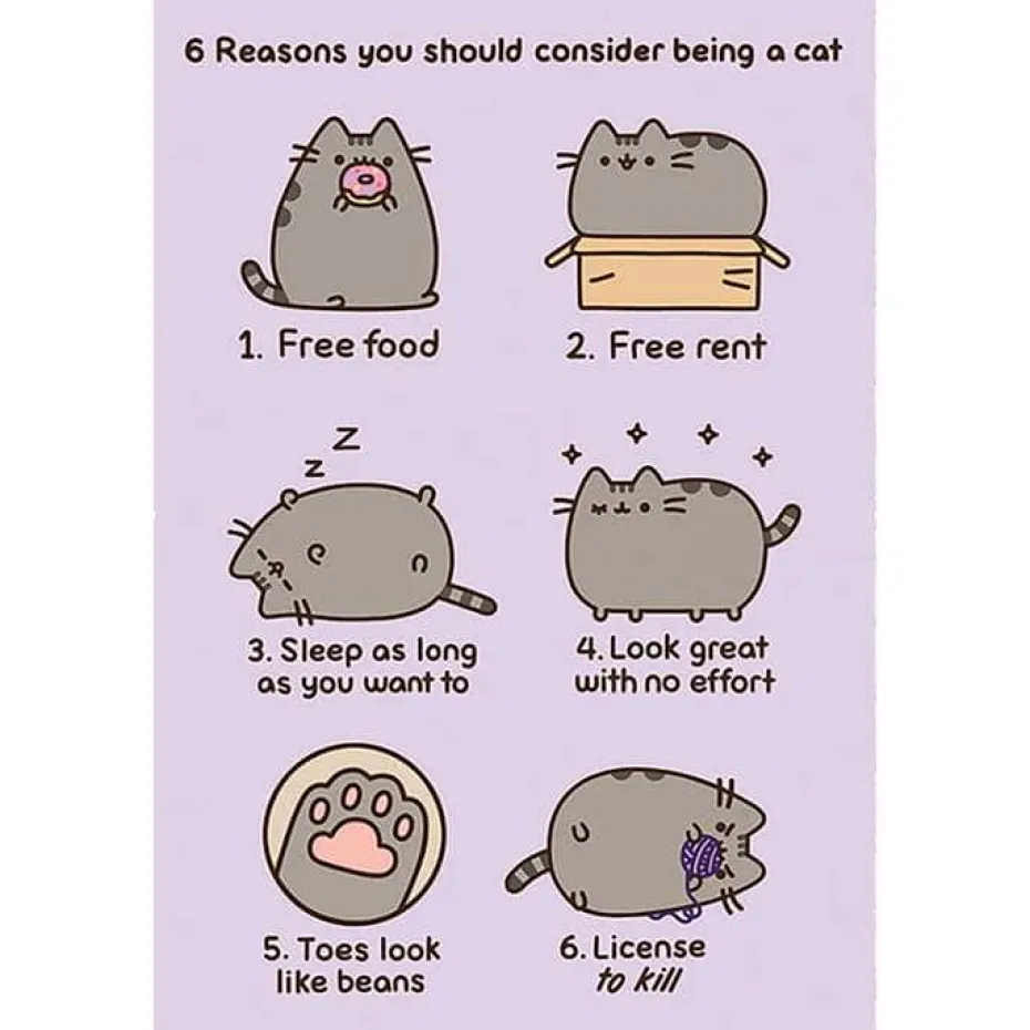 Pusheen® the Cat (Reasons To Be A Cat) plakat