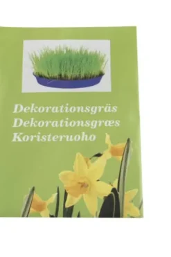 Pyntegress Timotei gressfrø