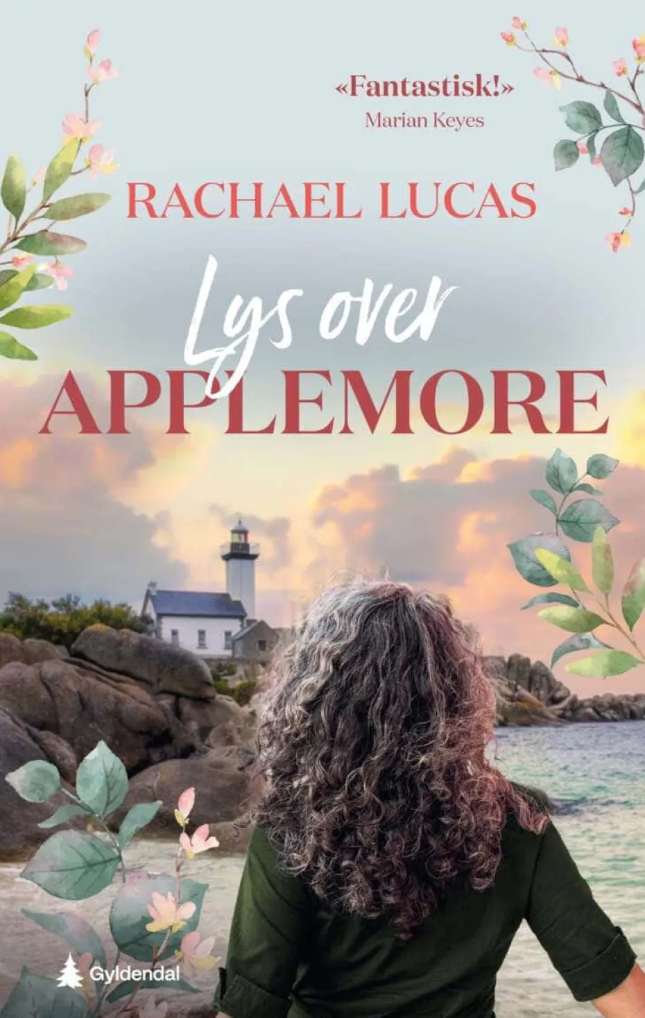 Rachael Lucas: Lys over Applemore