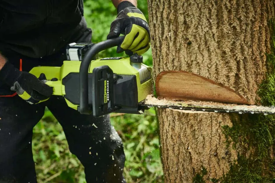 Ryobi RY36CSX50A-0 Motorsag