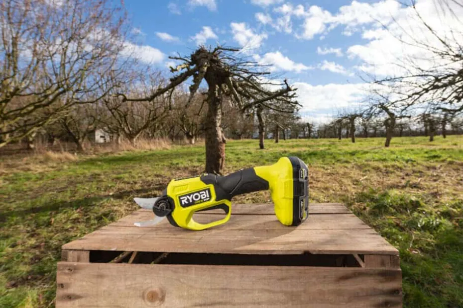 Ryobi RY18SCXA-0 grensaks u/batteri
