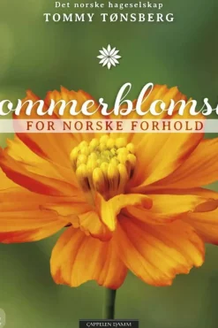 Sommerblomster for norske forhold