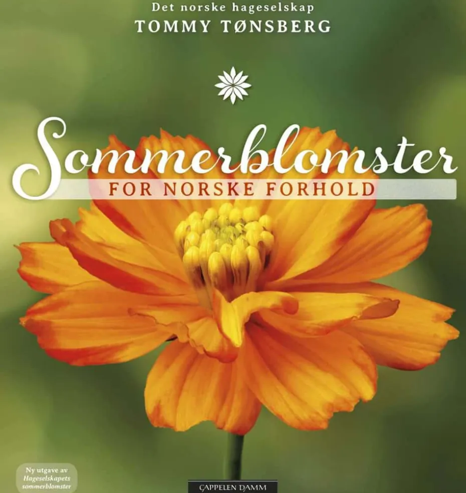 Sommerblomster for norske forhold