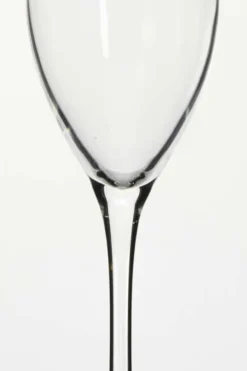 SPiiS Vernio champagneglass 4pk